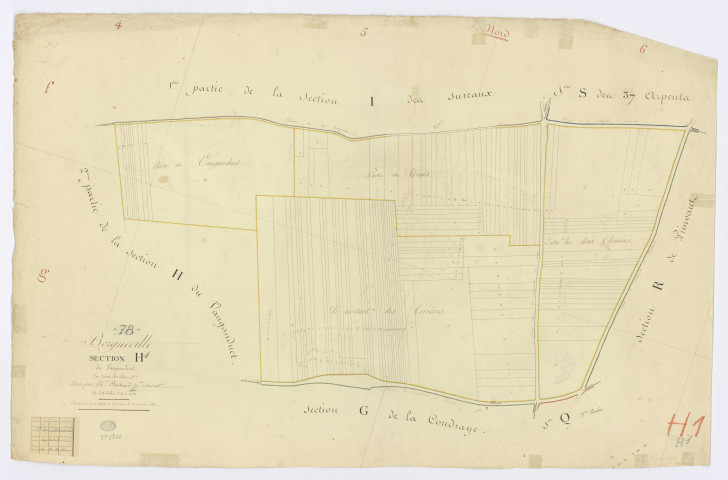 BOIGNEVILLE. - Section H - Vaugandnet (le), 1, ech. 1/1250, coul., aquarelle, papier, 64x99 (1813). 