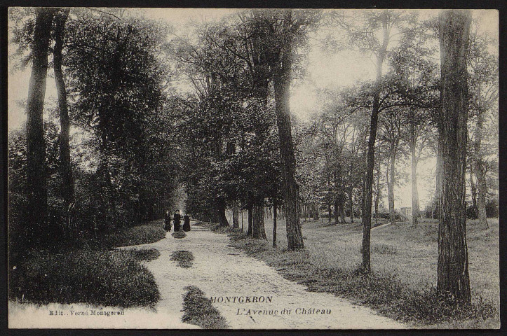 MONTGERON.- L'avenue du château (4 septembre 1918).