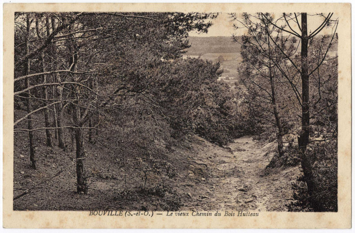 BOUVILLE. - Le vieux chemin du bois Hutteau, Rameau, sépia. 