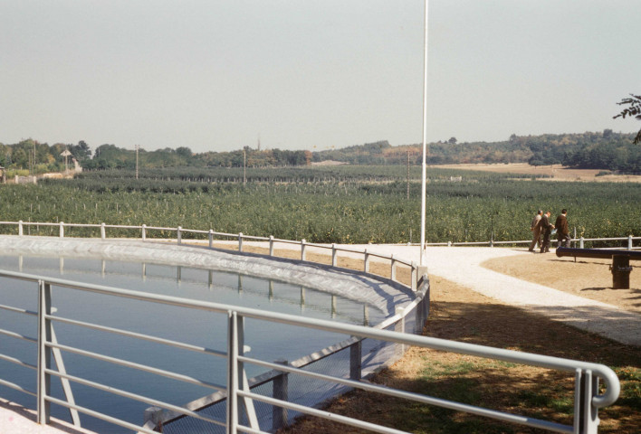 BAZAINVILLE. - BAZAINVILLE [département des Yvelines], bassin artificiel ; couleur ; 5 cm x 5 cm [diapositive] (1961). 