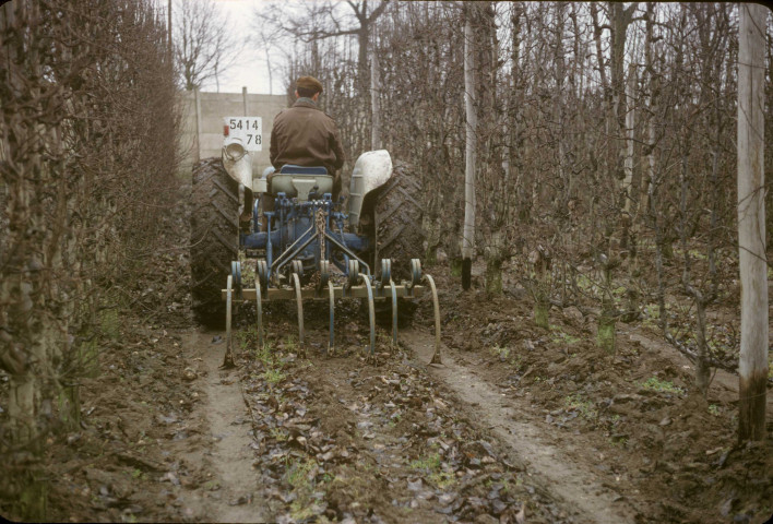 CHEPTAINVILLE. - Domaine de Cheptainville, plantations, engin agricole en action ; couleur ; 5 cm x 5 cm [diapositive] (1964). 