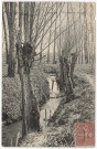 CHAMPLAN. - Un bras de l'Yvette, Bourdier, 1907, 17 lignes, 10 c, ad. 