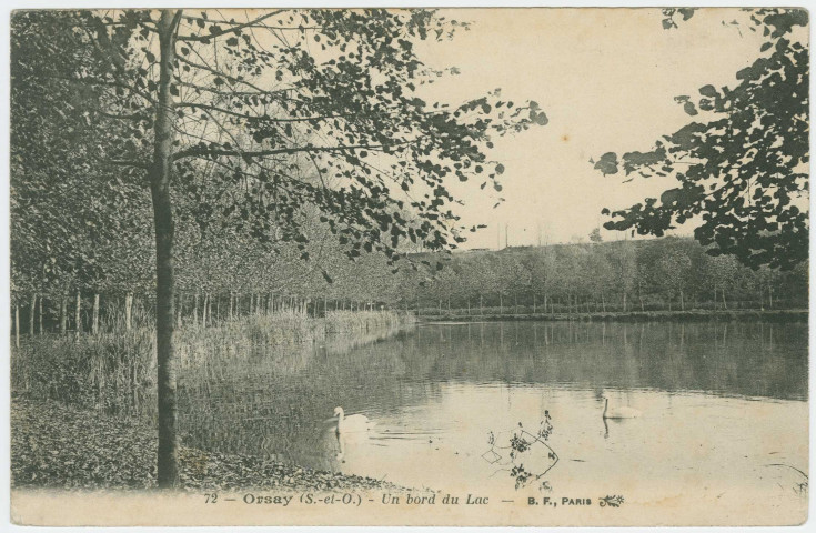 ORSAY. - Un Bord du lac. Edition BF, 1907, 1timbreà 5 centimes. 