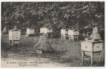 BRIERES-LES-SCELLES. - Apiculteur - Vue partielle du rucher. Editeur Rameau, 1931, 1timbre à 10 centimes et 1 timbre à 30 centimes. 