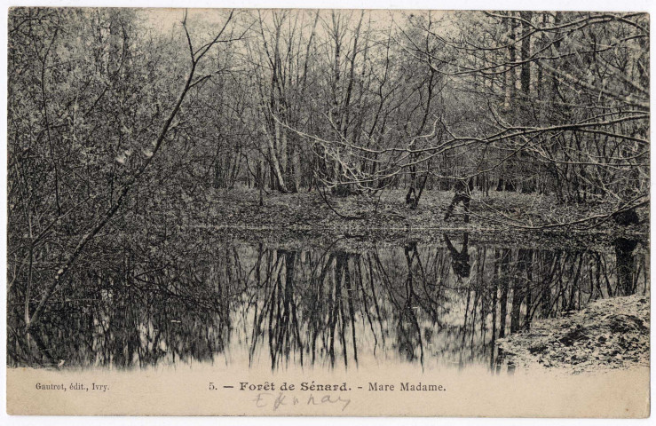 EPINAY-SOUS-SENART. - Forêt de Sénart. Mare Madame. Gautrot (1906), 2 mots, 5 c, ad. 