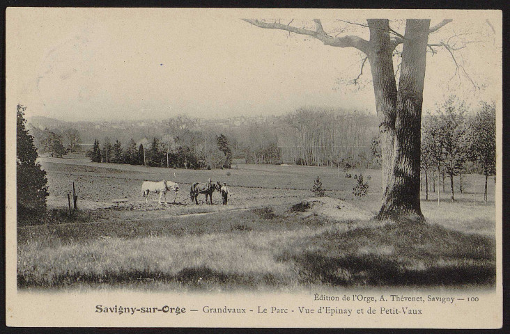 SAVIGNY-SUR-ORGE .- Grand-Vaux - Le parc et vue d'Epinay et de Petit-Vaux. 