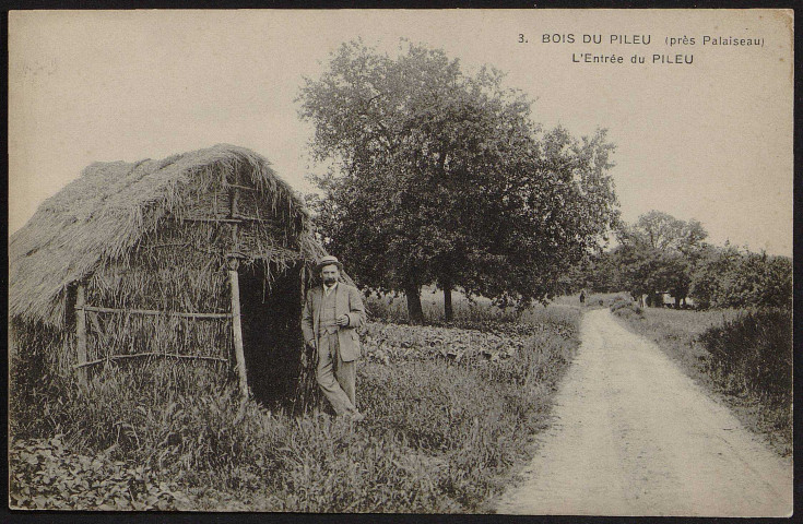Palaiseau.- Bois du Pileu (près Palaiseau) : L'entrée du Pileu [1904-1910]. 