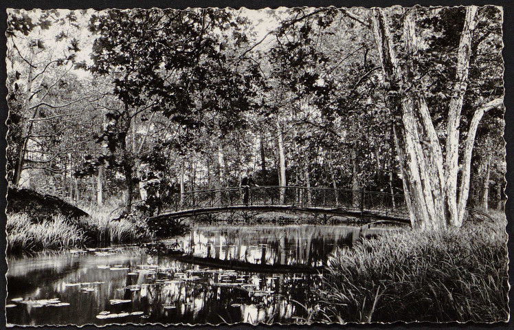 Chamarande.- La Juine dans le parc du château et pont de fer [1950-1964). 