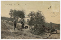 PALAISEAU. - Bois du Pileu. Les fraisettes [Editeur Mauvillier, collection Debuisson, 1907, timbre à 5 centimes]. 