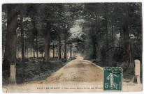 DRAVEIL. - Forêt de Sénart. Carrefour de la Croix de l'Ermitage. Ponnelle (1909), 5 mots, 5 c, ad., coloriée. 