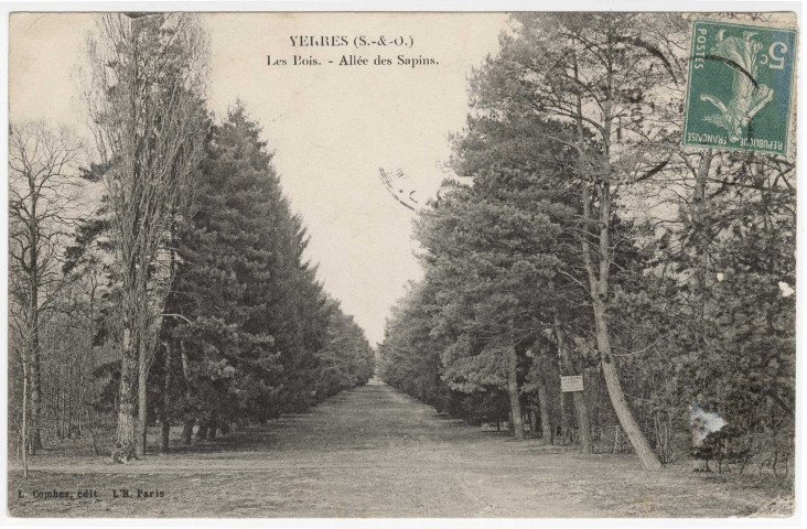 YERRES. - Les bois. Allée des Sapins [Editeur Combes, timbre à 5 centimes]. 