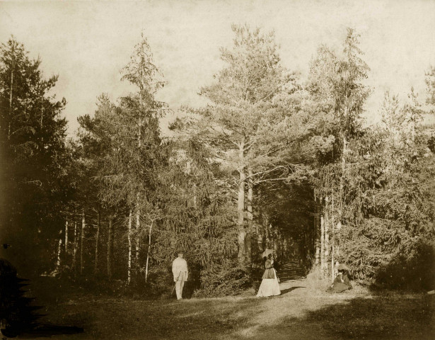MEREVILLE. - Parc : le bois de Boulogne, vue prise du Rond-Point, (1874). 
