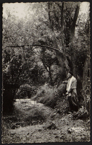 Montlhéry.- Paul Fort regarde trembler ses roseaux au soleil couchant (30 août 1957). 