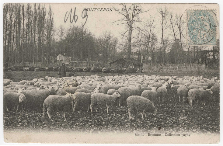 MONTGERON. - La prairie [Editeur Pagny, 1905, timbre à 5 centimes]. 