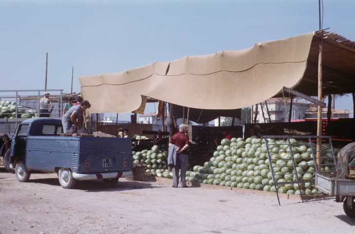 VERONE. - Marché aux fruits et légumes à VERONE [Italie], marchandises et manutentionnaires ; couleur ; 5 cm x 5 cm [diapositive] (1963). 