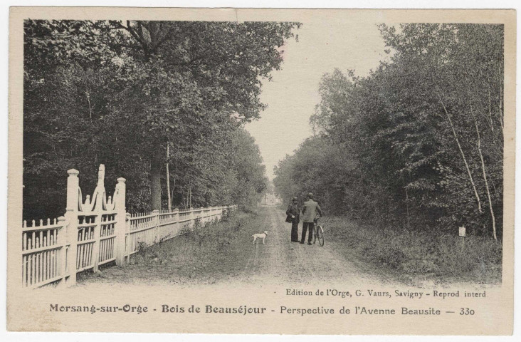 MORSANG-SUR-ORGE. - Parc Beauséjour. Bois, perspective de l'avenue Beausite [Editeur Vaurs]. 