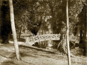MEREVILLE. - Parc : le pont des Boules d'or, (1874). 