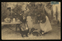 VARENNES-JARCY. - Le déjeuner des chats à Jarcy. 1910, 1 timbre à 5 centimes. 