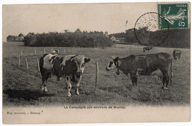 BRUNOY. - La campagne aux environs de Brunoy. (Editeur Ray, mercerie à Brunoy, 1907, 1 timbre à 5 centimes). 