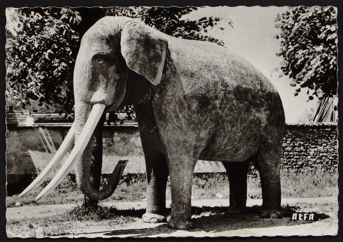 SAINTE-GENEVIEVE-DES-BOIS.- Hameau de Liers : Eléphant en béton [1960-1964]. 