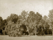 MEREVILLE. - Parc : vue du Grand Saule et de la fontaine Maurice, prise du pont des Boules d'or, (1874). 