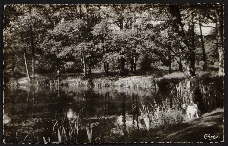 La mare du Capitaine (11 août 1957).