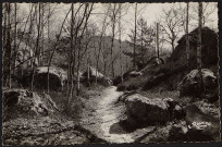 MILLY-LA-FORET.- Les roches [1950-1960].