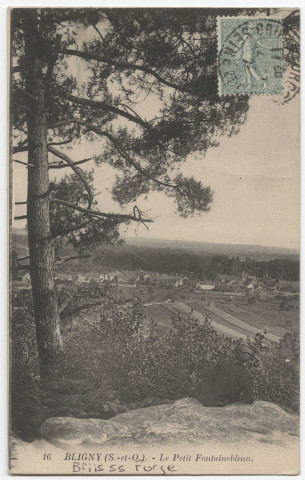 BRIIS-SOUS-FORGES. - Le Petit Fontainebleau. Editeur Levy et Neurdein, 1924, timbre à 5 centimes. [Bligny] 