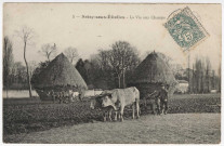 SOISY-SUR-SEINE. - La vie aux champs [1907, timbre à 5 centimes]. 