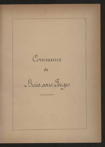 BRIIS-SOUS-FORGES. - Monographie communale [1899] : 3 bandes, 15 vues. 