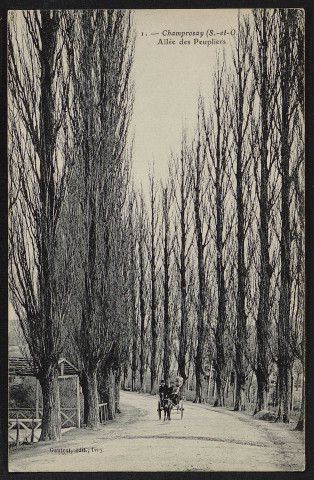 Draveil.- Champrosay. Allée des peupliers [1904-1910]. 