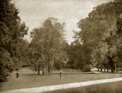 MEREVILLE. - Parc : vue du parc prise de la grille d'entrée, (1874). 