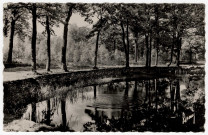 QUINCY-SOUS-SENART. - La mare au Capitaine en forêt de Sénart [Editeur Raymon, 1909]. 