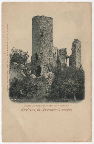 VILLECONIN. - Ruines du château féodal de Villeconin. 