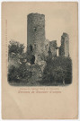 VILLECONIN. - Ruines du château féodal de Villeconin. 