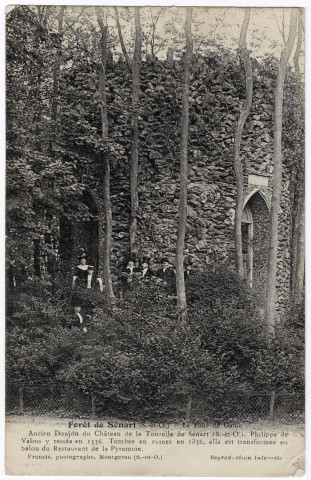 BRUNOY. - Forêt de Sénart. La tour de Louis XIV, ELD, 2 mots, 5 c, ad. 