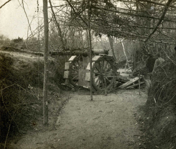 Canon camouflé : photographie noir et blanc.