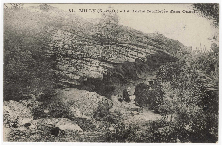 MILLY-LA-FORET. - La Roche Feuilletée en forêt. 