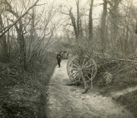 Canon camouflé : photographie noir et blanc.