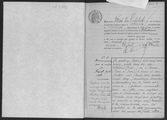 PALAISEAU. - Naissances : registre d'état civil.