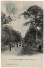 DRAVEIL. - Forêt de Sénart. La fête de l'Ermitage. Mulard (1905), 1 mot, 5 c, ad. 
