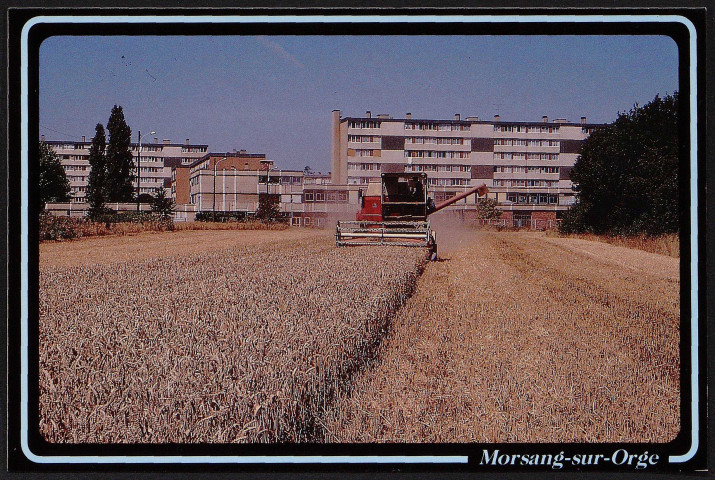 MORSANG-SUR-ORGE.- Moisson près de l'école Courbet (octobre 1990).