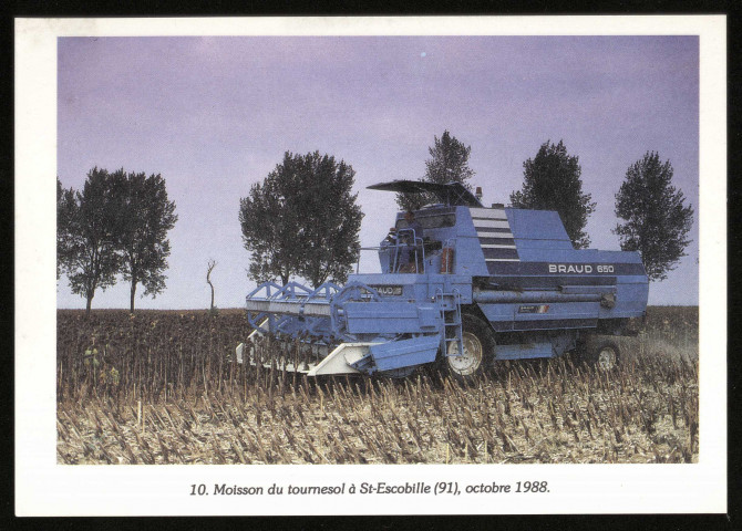 SAINT-ESCOBILLE. - Moisson du tournesol, octobre 1988. (Edition Art Média Lorient, collection Mille et un travaux de l'homme, couleur.) 