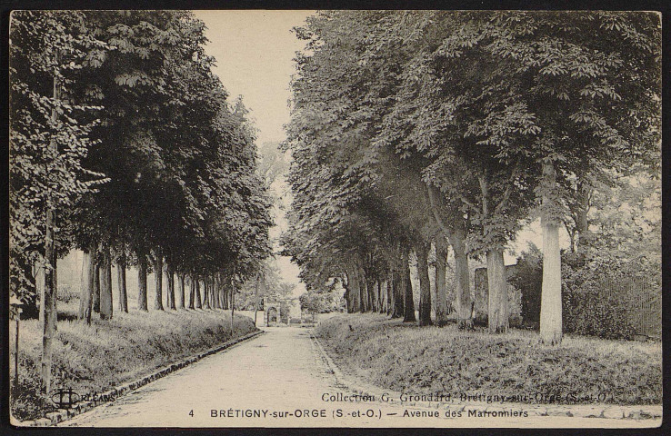 Brétigny-sur-Orge.- Avenue des Marronniers. 