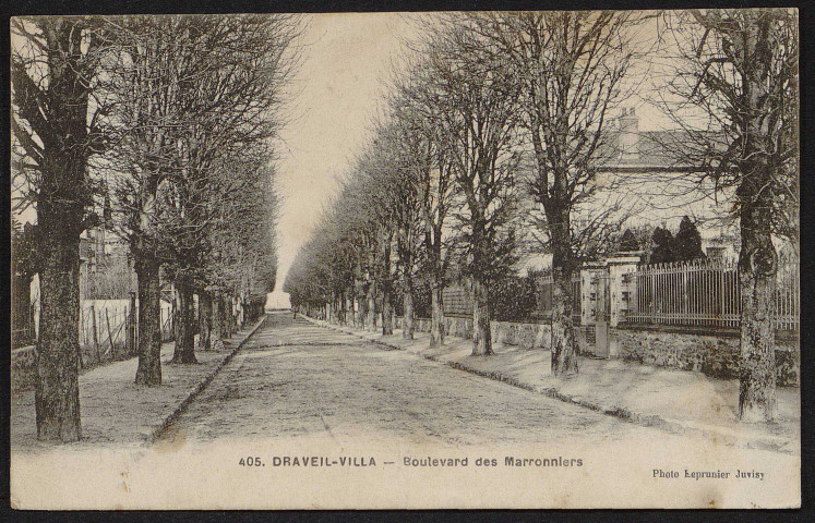 Draveil.- Villa-Draveil. Boulevard des Marronniers [1920]. 