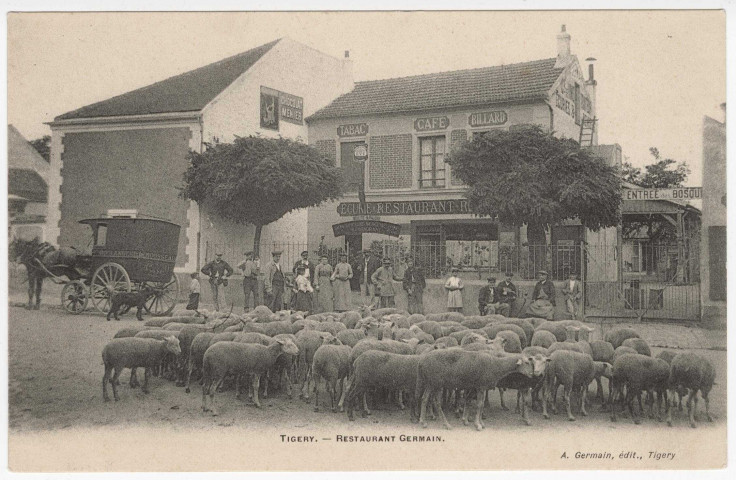 TIGERY. - Restaurant Germain et troupeau de moutons [Editeur Germain]. 