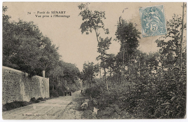 DRAVEIL. - Forêt de Sénart. Vue prise à l'Hermitage. Mulard (1906), 1 mot, 5 c, ad. 