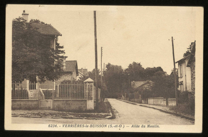 VERRIERES-LE-BUISSON. - Allée du moulin. (Photo Edition.) 