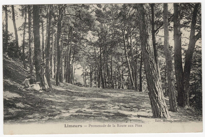 LIMOURS-EN-HUREPOIX. - Promenade de la route aux pins. Editeur Marais. 