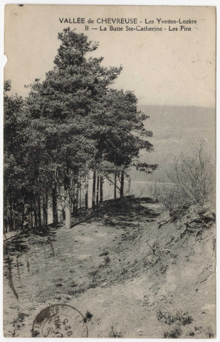 PALAISEAU. - Les Yvettes-Lozère - La butte Sainte-Catherine, les pins. 1925, timbre à 20 centimes. 